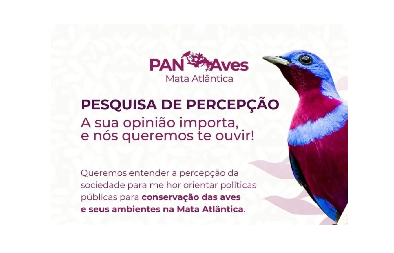Semae e IMA convidam população para participar de pesquisa sobre Aves da Mata Atlântica