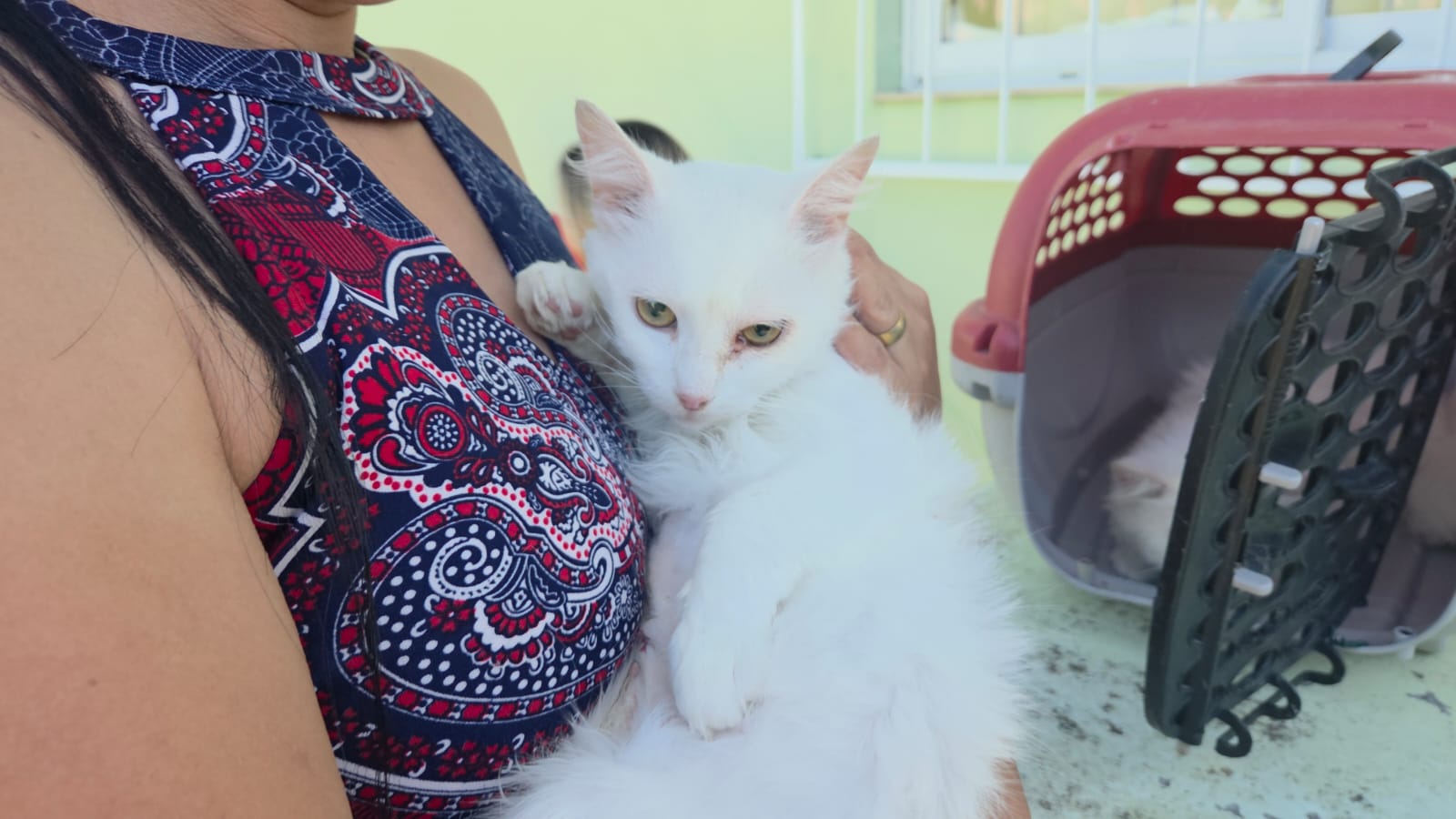 Pet Levado a Sério avança em Santa Catarina