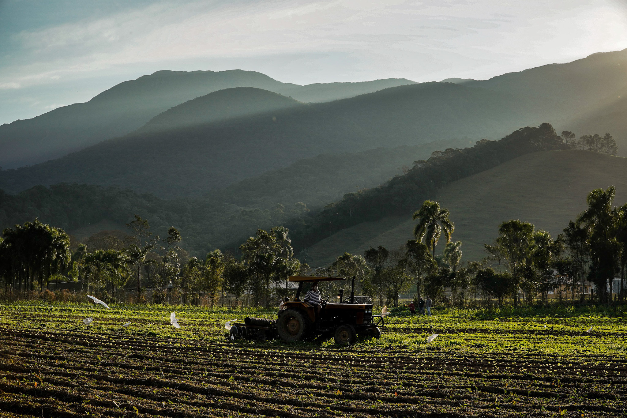 Governo de SC inicia transição para o CAR Digital com período de migração da plataforma