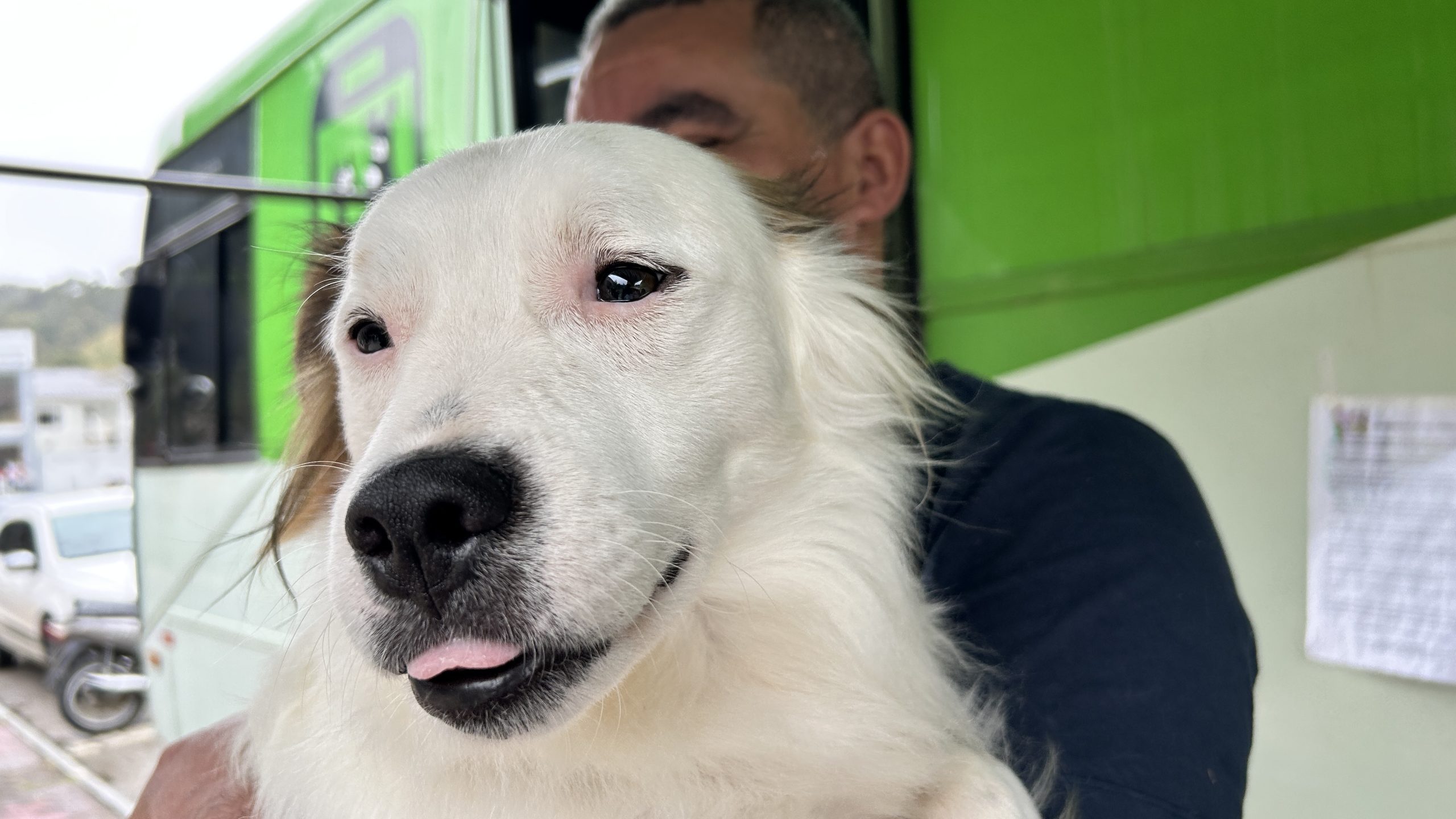 Governo de Santa Catarina sanciona lei que reforça controle de ruídos e proteção ao bem-estar animal e de pessoas com sensibilidade auditiva