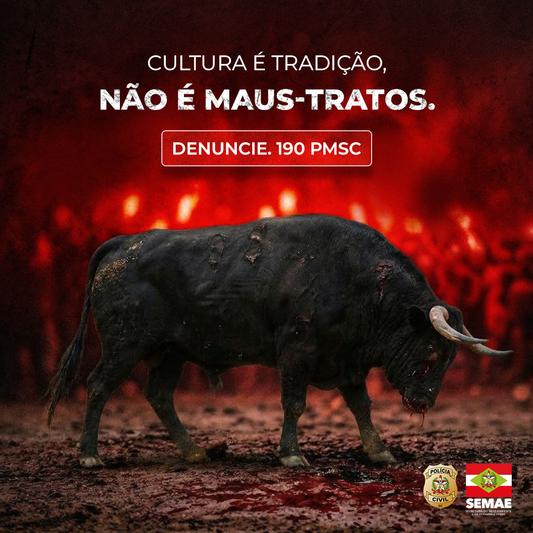 Operação Quaresma termina sem registro de maus-tratos a animais em Santa Catarina